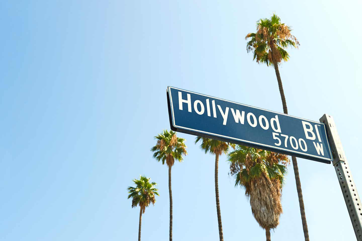 Blaues Straßenschild des Hollywood Boulevards, einer der Sehenswürdigkeiten in Los Angeles, vor blauem Himmel und Palmen