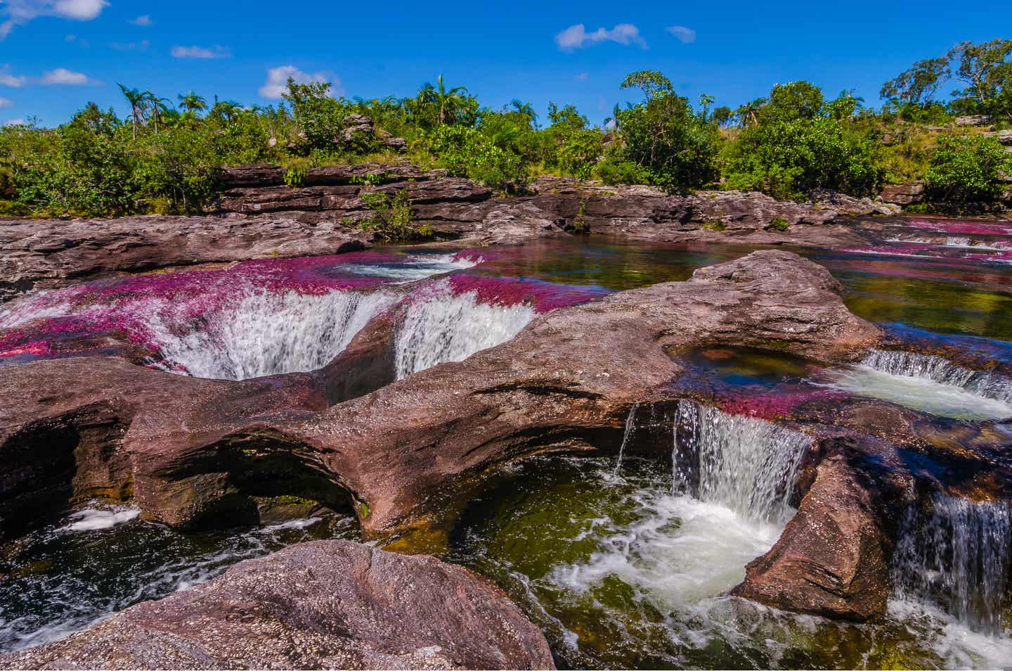 Urlaub in Kolumbien – Caño Cristales