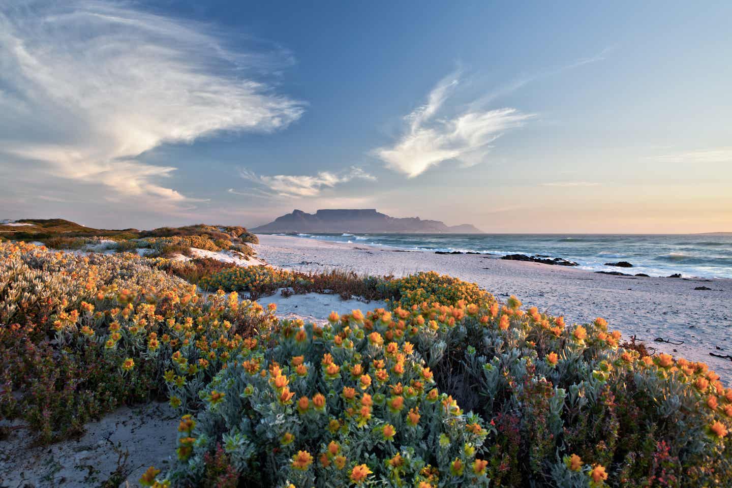 Urlaub in Südafrika – Blick auf den Tafelberg vom Bloubergstrand 