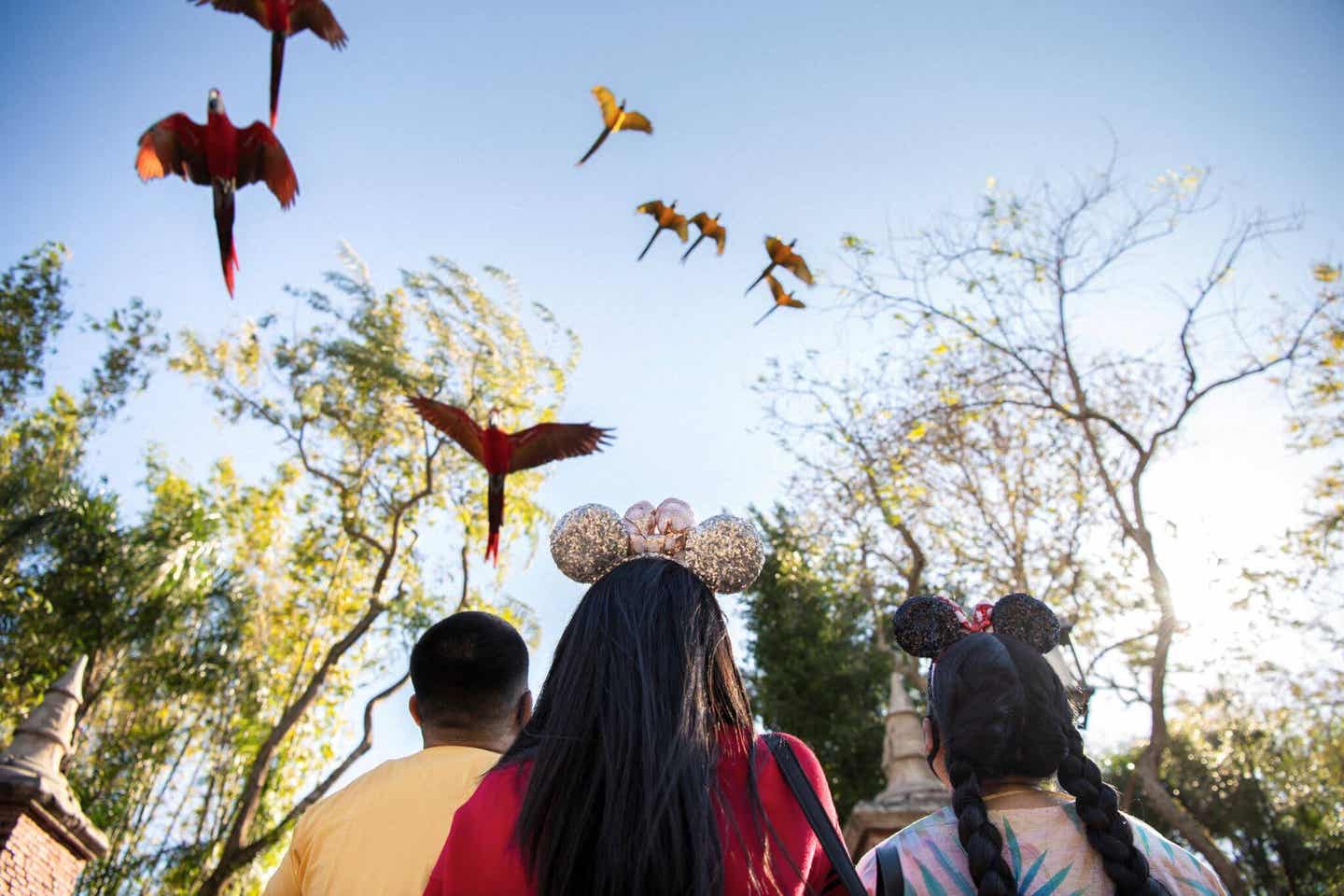 Animal Kingdom im Walt Disney World Resort