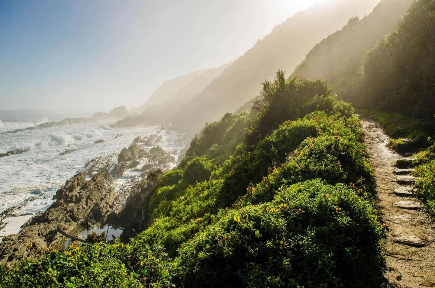 Der Tsitsikamma Nationalpark in Südafrika