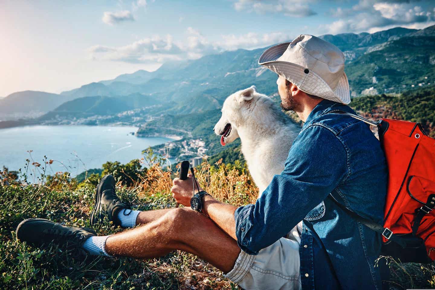 Wandern mit Hund - Hund und Herrchen genießen den Ausblick