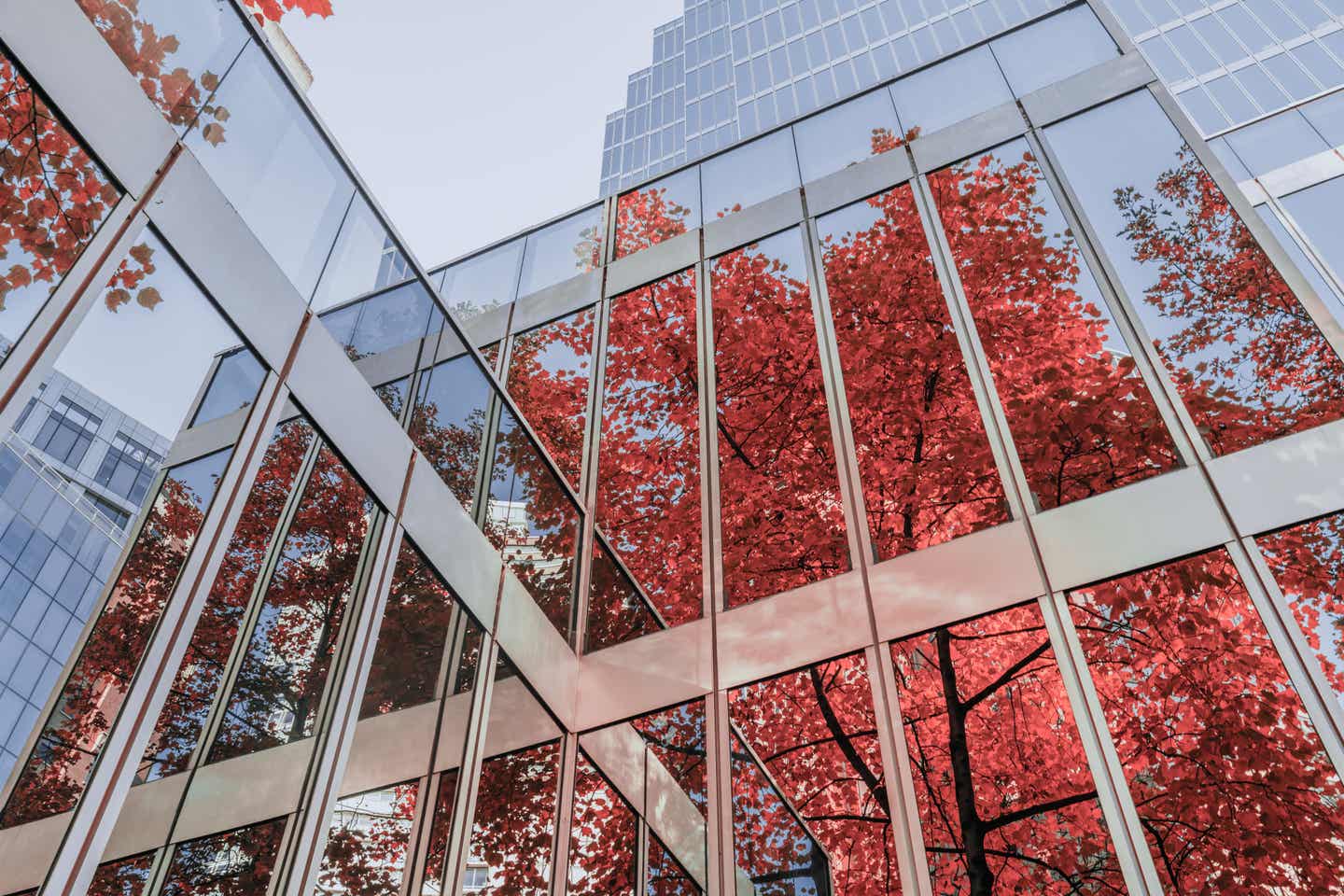 British Columbia Urlaub mit DERTOUR. Baum mit rotem Herbstlaub spiegelt sich in Glasfassade eines Hochhauses in Vancouver