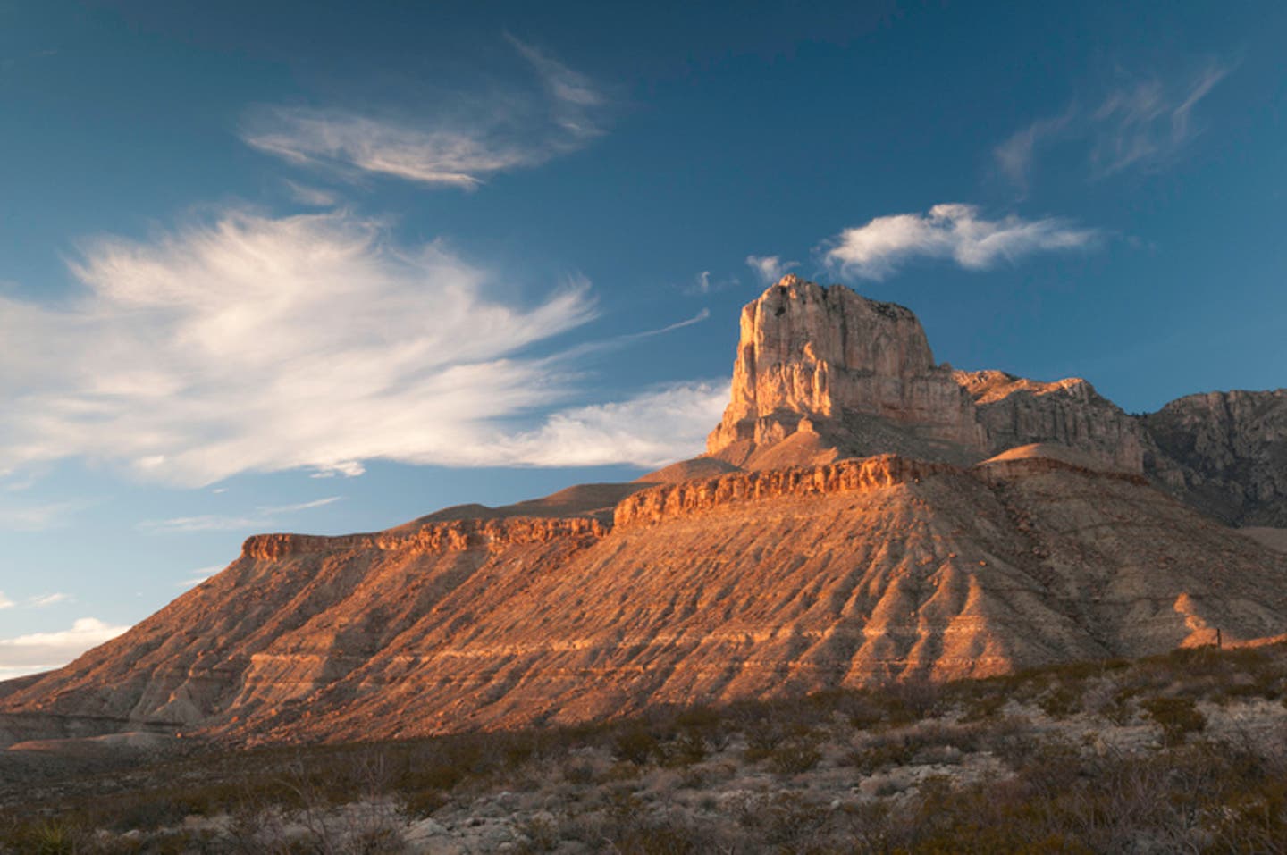 Hotels in Texas