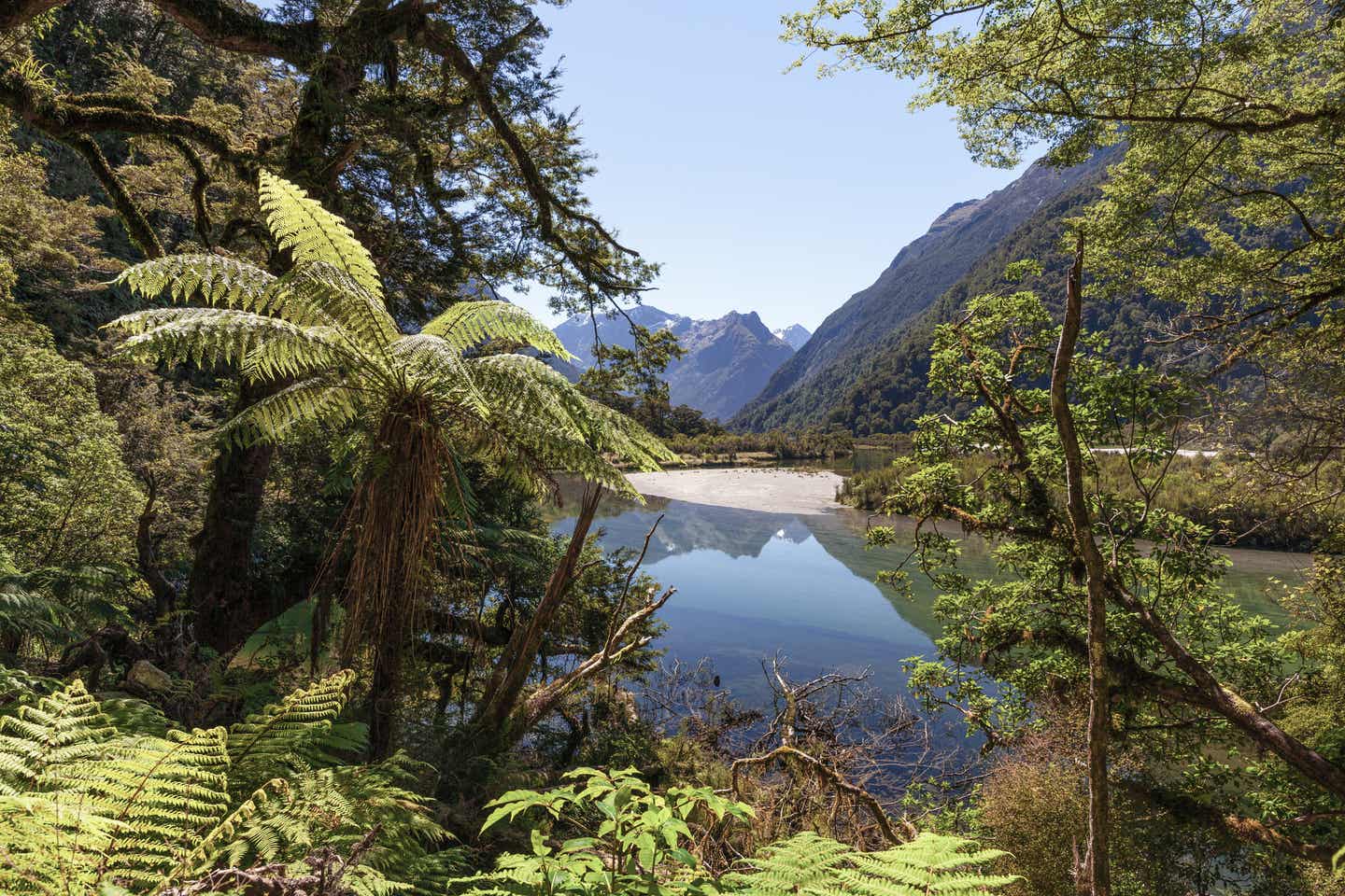Neuseeland beste Reisezeit: Milford Track im Fiordland Nationalpark