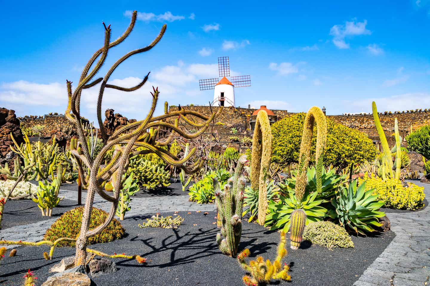 Lanzarote 