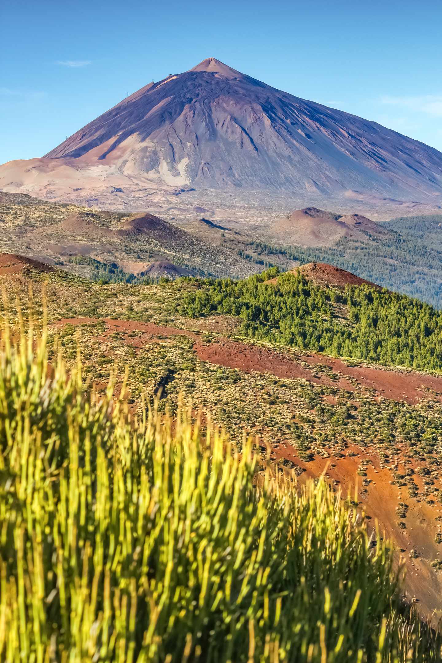 Der Pico del Teide auf Teneriffa mit grüner und rotbrauner Landschaft im Vordergrund