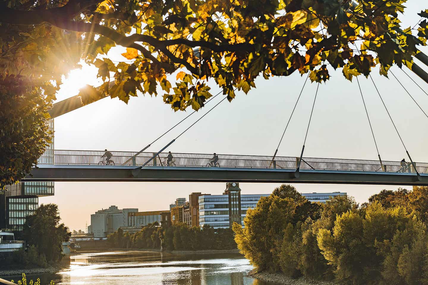 Radtouren in Deutschland: Rheinbrücke