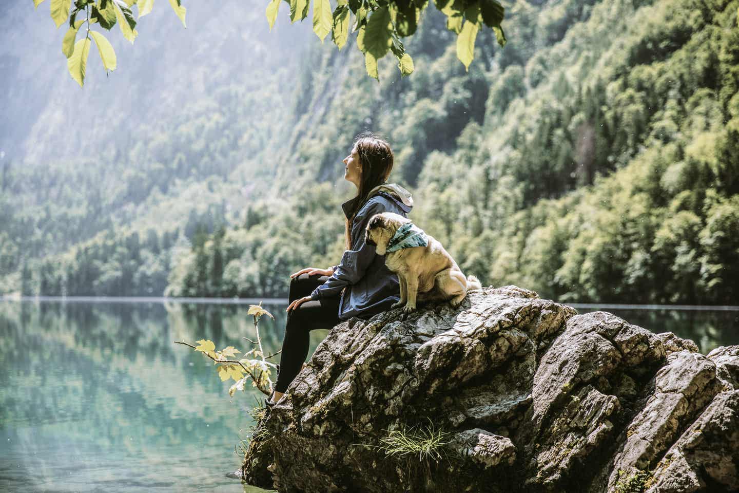 Berchtesgaden Urlaub mit DERTOUR. Frau mit Hund sitzt am Ufer eines bayrischen Waldsees