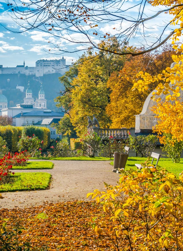Zu den Angeboten Salzburg