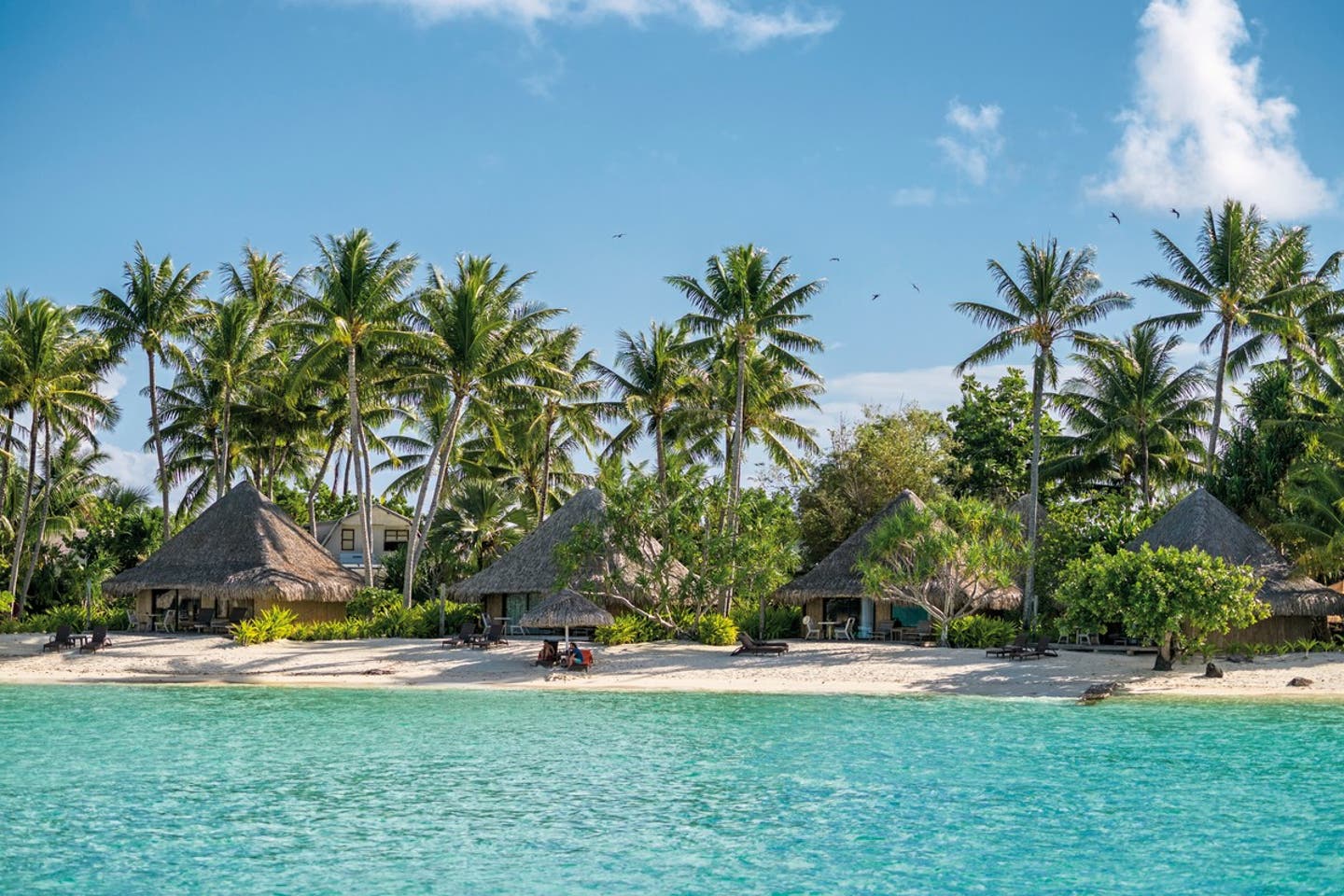 Wohnbeispiel Beach Bungalow Lagoon View