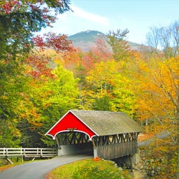 Hotel New Hampshire