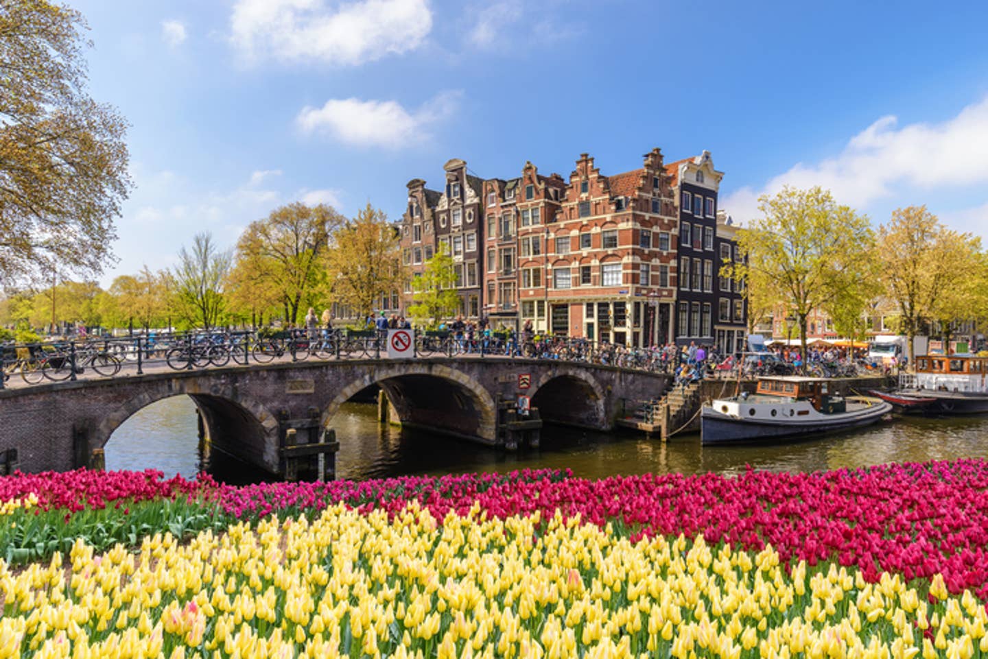 Rundreisen Niederlande: Kanal in Amsterdam mit blühenden Tulpen im Vordergrund Rundreisen Niederlande: Kanal in Amsterdam mit blühenden Tulpen im Vordergrund