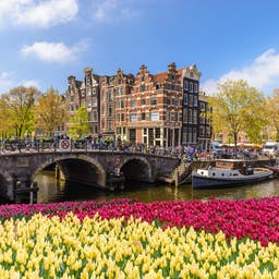 niederlande-amsterdam-tulpen-kanal-bruecke-g-925620364.jpg