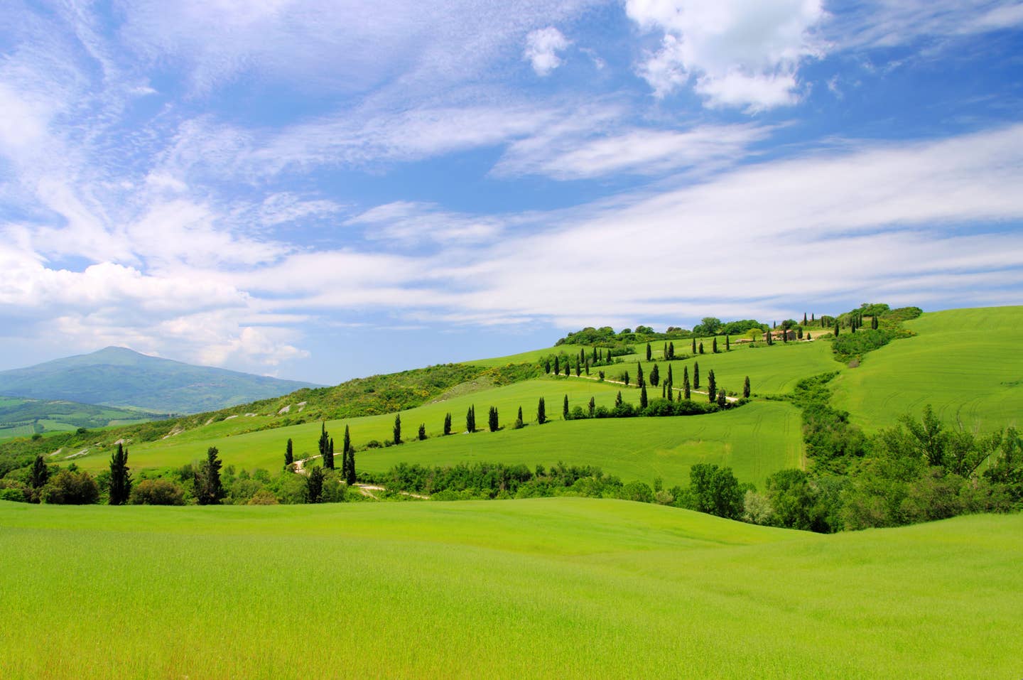 Rundreisen Italien: hügelige Landschaft in der italienischen Toskana mit vielen typischen Zypressen-Bäumen Rundreisen Italien: hügelige Landschaft in der italienischen Toskana mit vielen typischen Zypressen-Bäumen