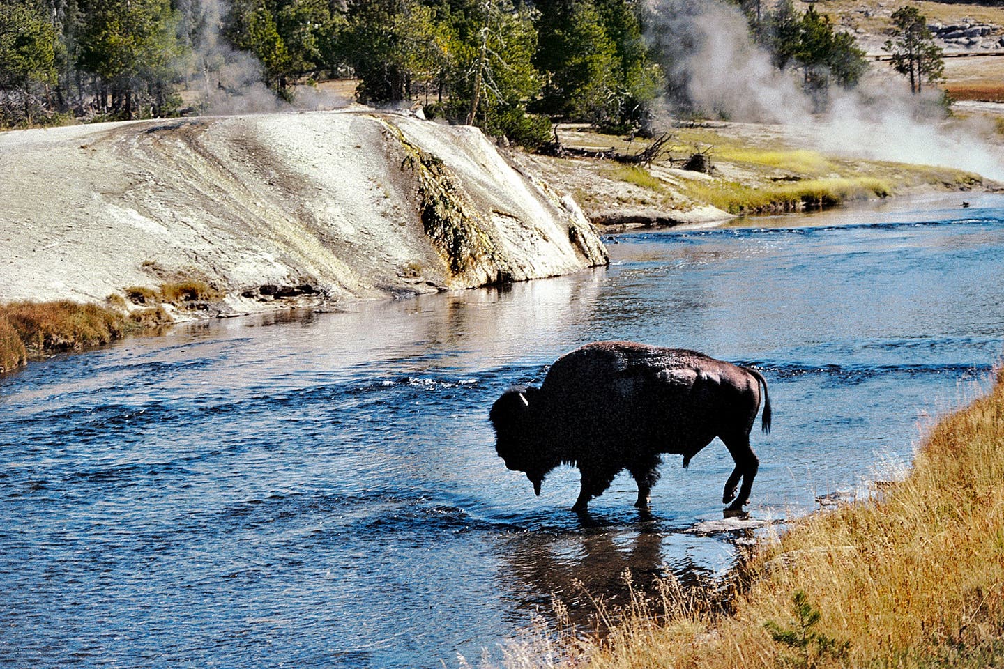 Hotels in Wyoming