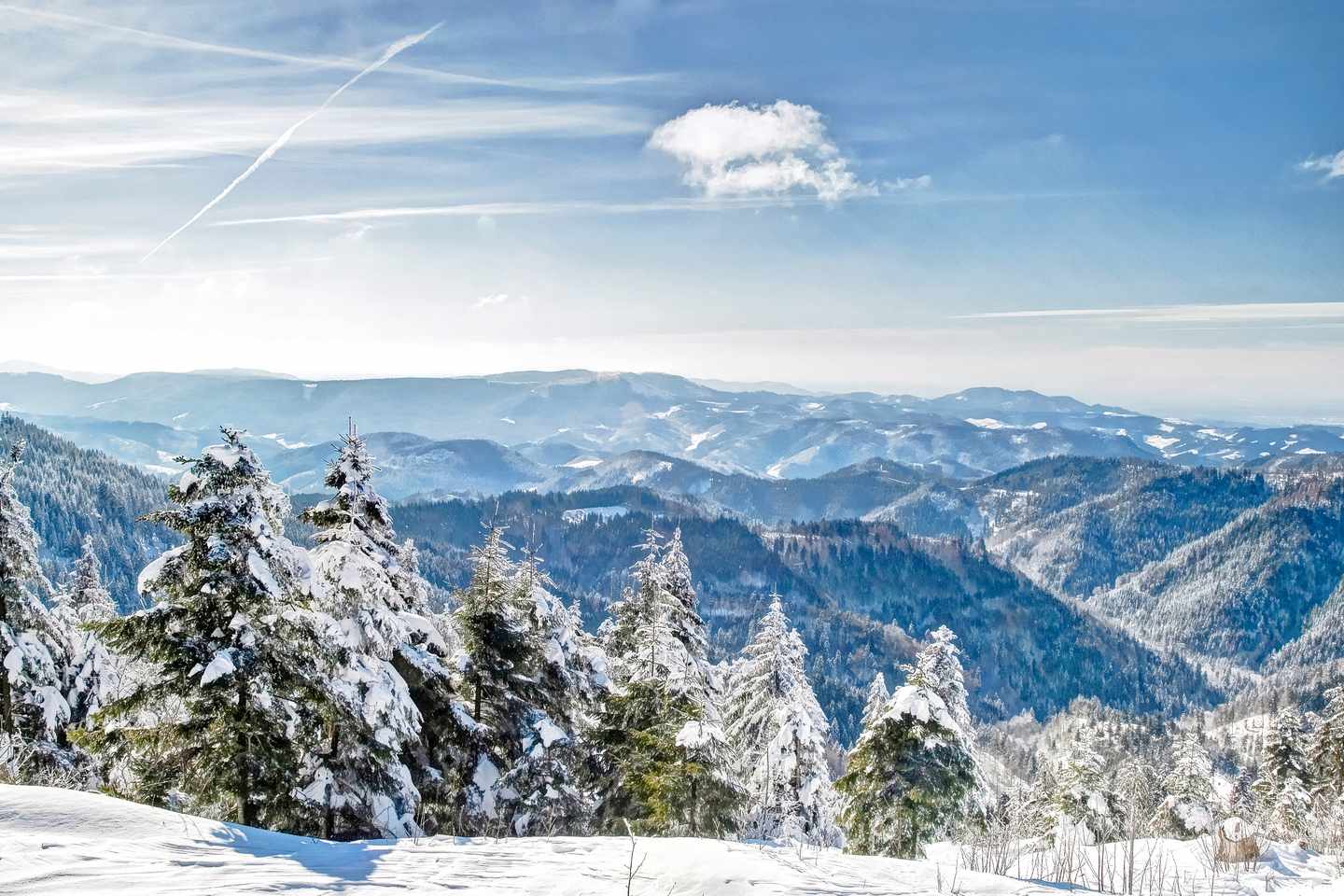Sehenswürdigkeiten im Schwarzwald: Winter im Schwarzwald