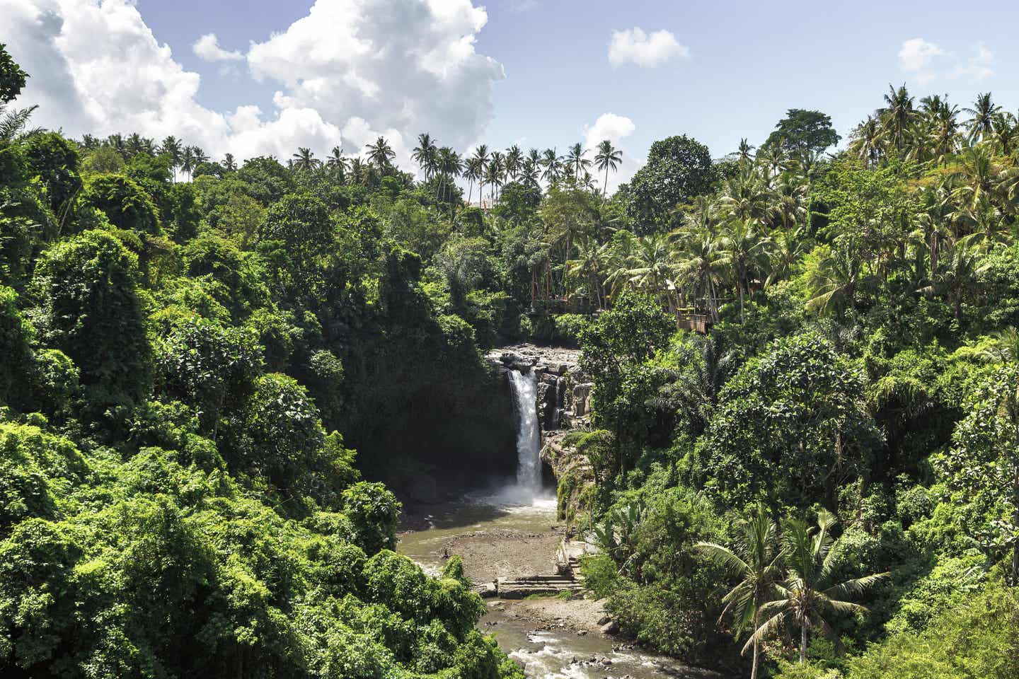 Bali Urlaub: Tegenungan-Wasserfall