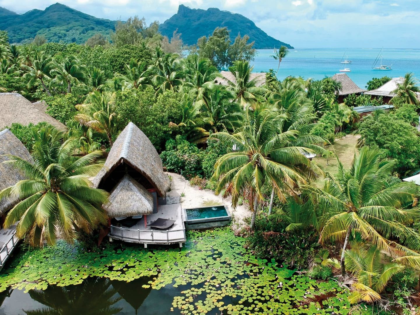 Wohnbeispiel Premium Garden Bungalow with Pool