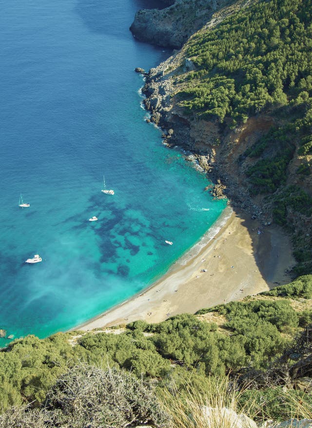 Angebote entdecken Urlaub auf den Balearen - Strand Coll Baix bei Alcudia