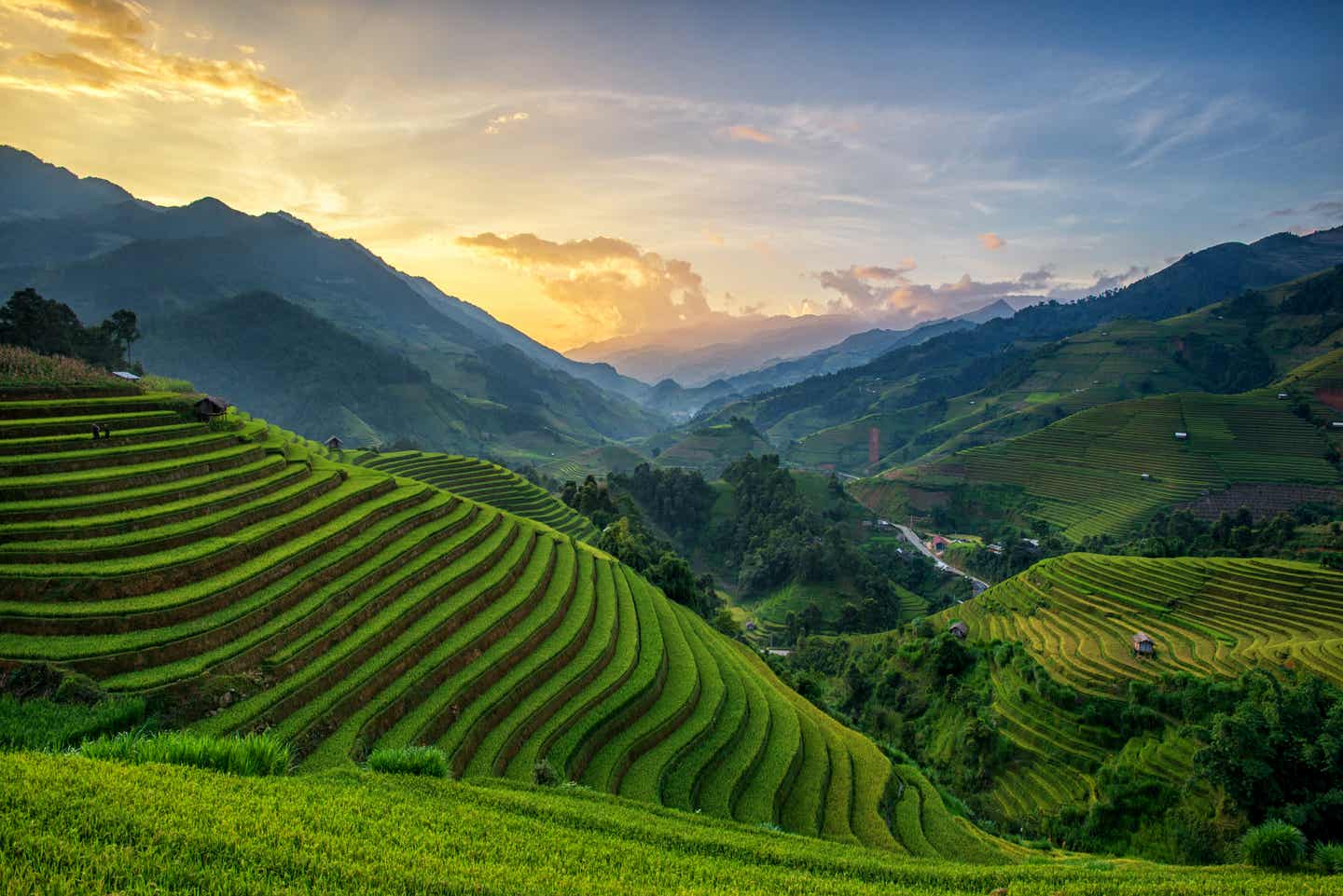 Beste Reisezeit Bali: Mu Can Chai Reisterrassen