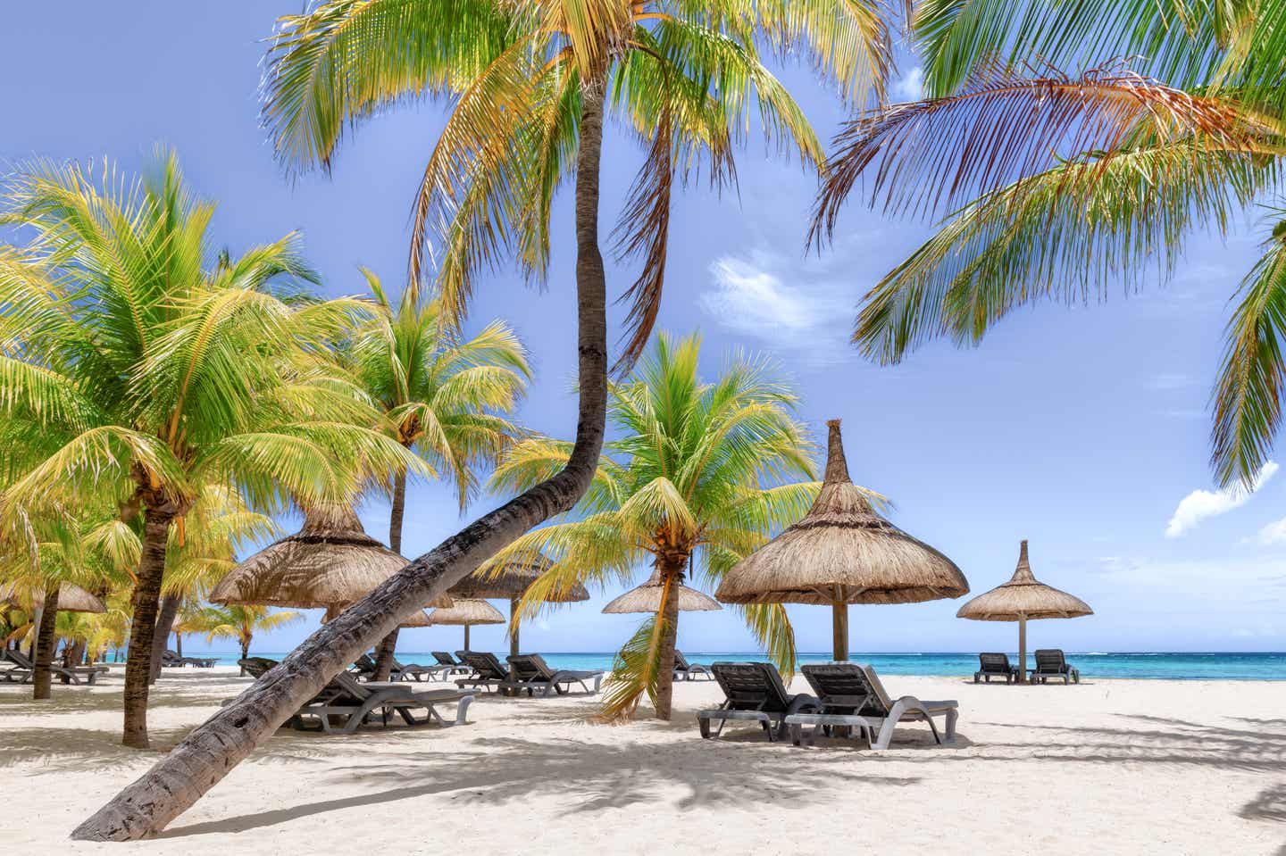 Strand mit Palmen und tropischem Meer auf der Insel Mauritius, idyllische Strandliegen unter Strohdächern und klarem blauen Himmel 