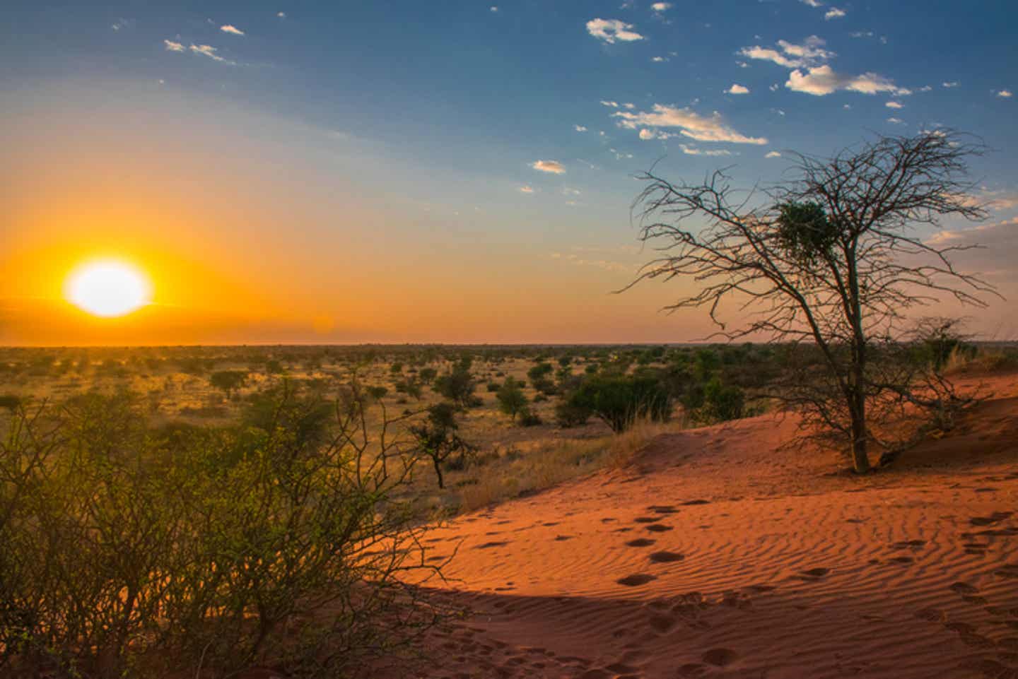 Reisekalender September. Sonnenaufgang über der Kalahari-Wüst in Namibia.