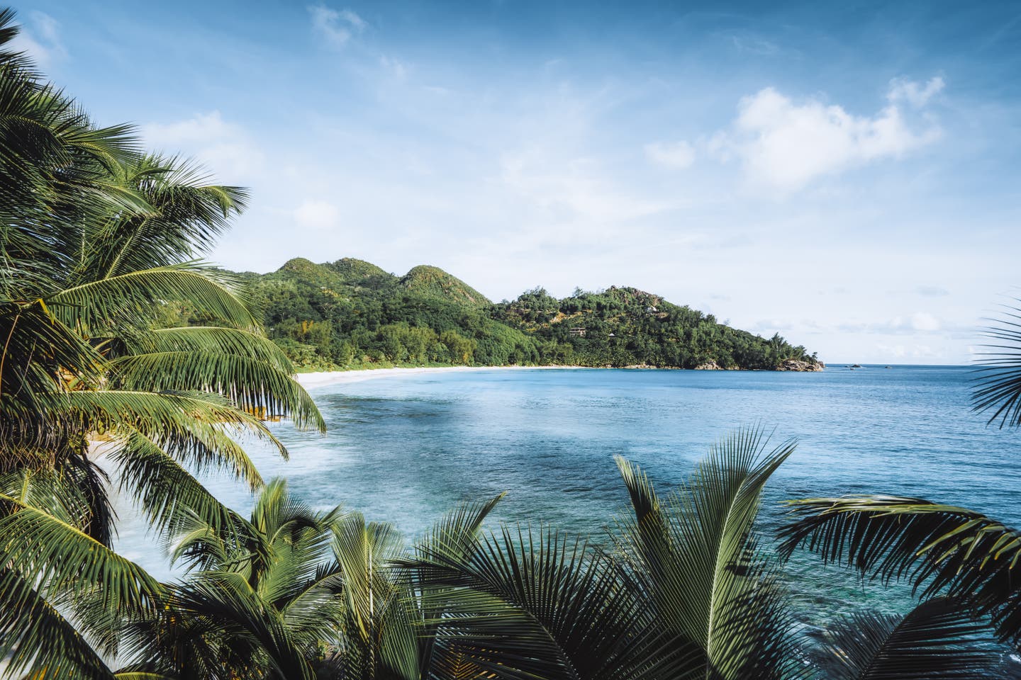 Der wilde Strand Anse Intendance auf der Seychellen-Insel Mahé mit feinem Sand und Palmen