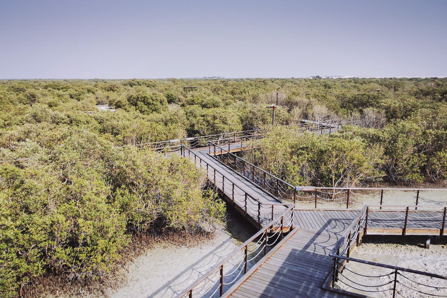 Mangrovenpark auf Al Jubail Island