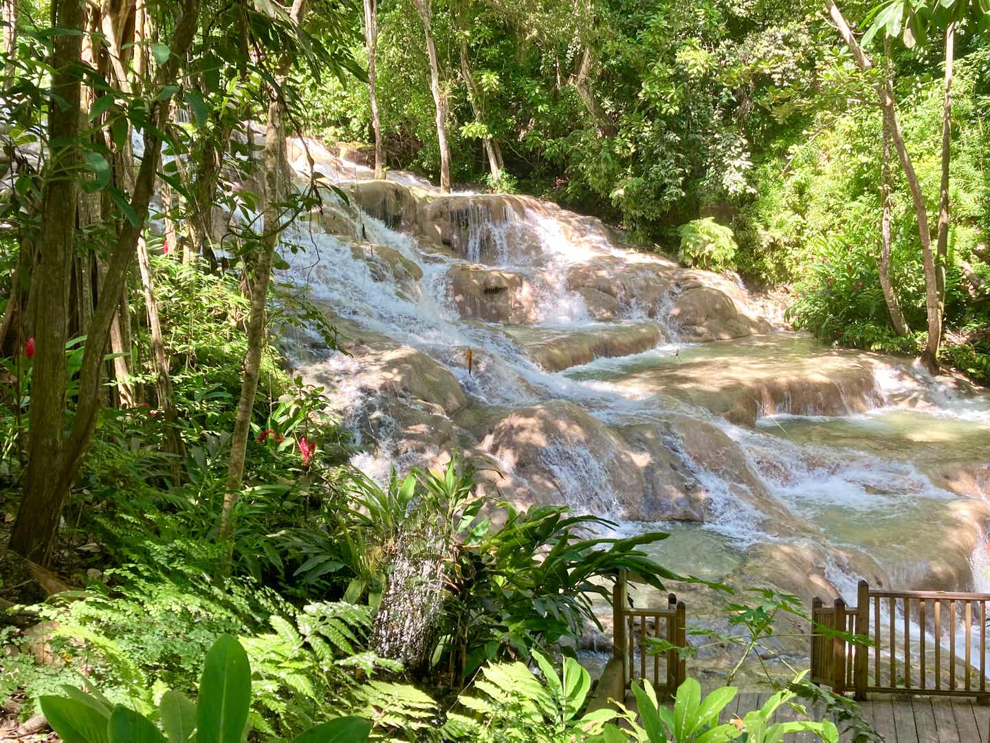 Jamaika beste Reisezeit. Dunns River Falls