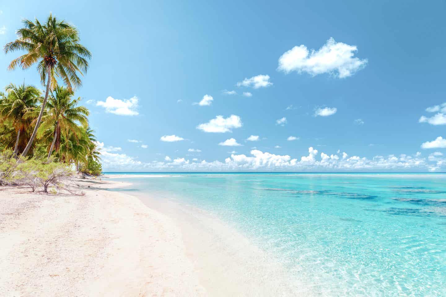 Weißer Sand mit Palmen und helltürkisblaues Wasser