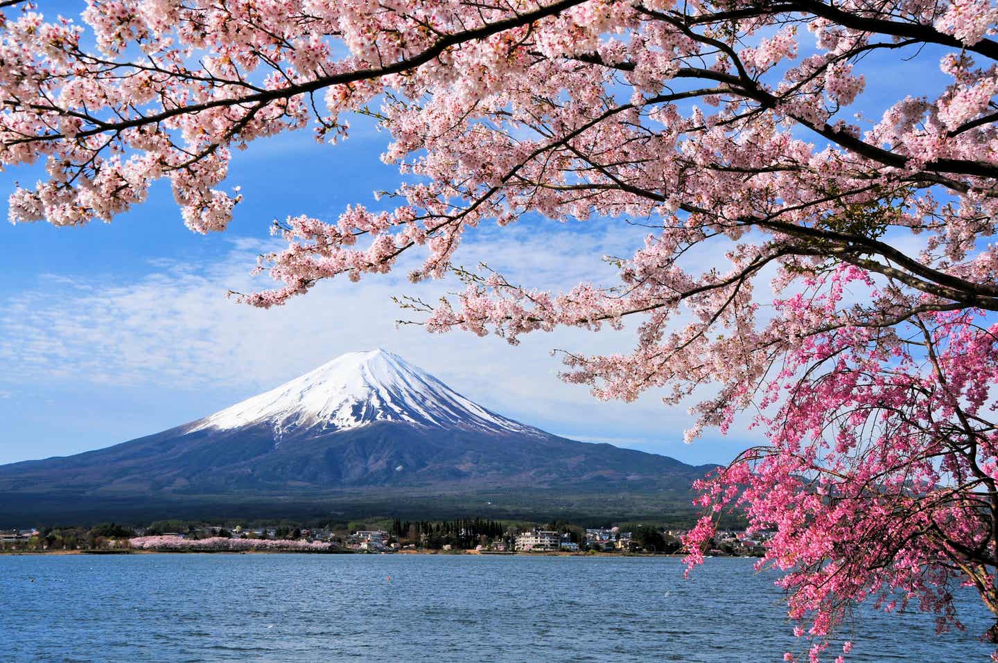 Kirschblüte in Japan im Mai: Reiseziele mit Flair