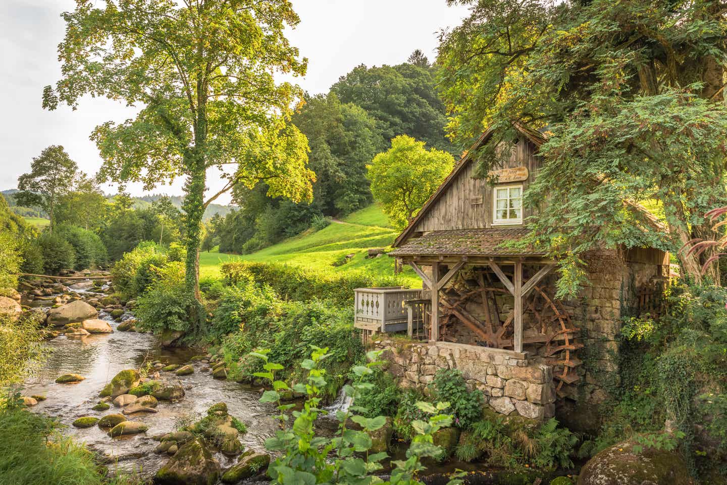 Alte Mühle am Bach in grüner Natur im Schwarzwald