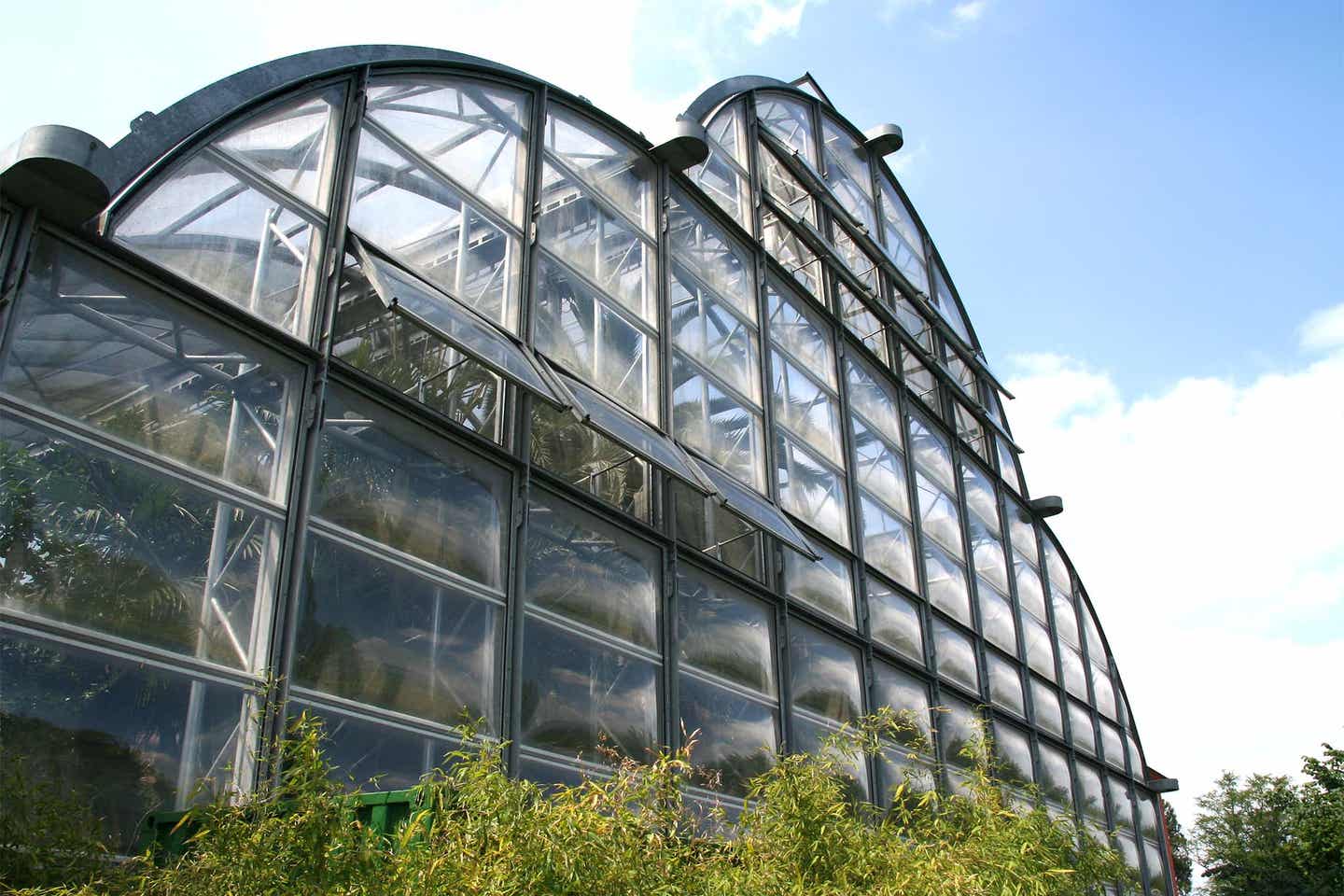 Glasfront des Palmhaus von Mainau von außen