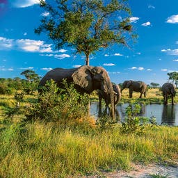 Hotels in Botswana
