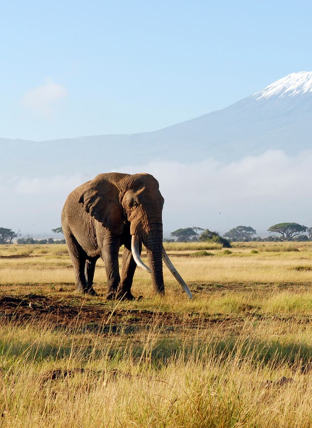 Kenia beste Reisezeit