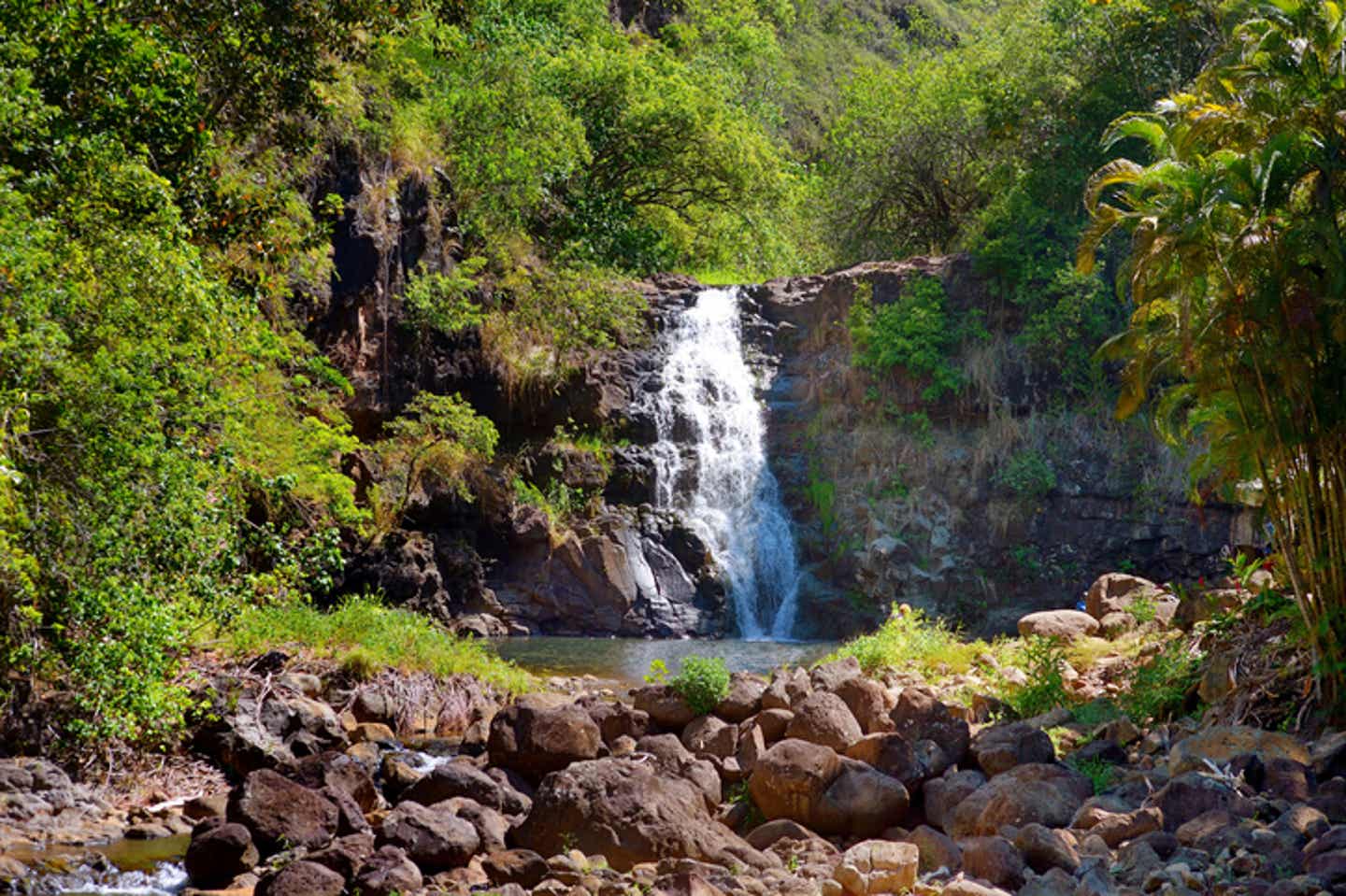 Paradiesischer Wasserfall im Waimea Valley