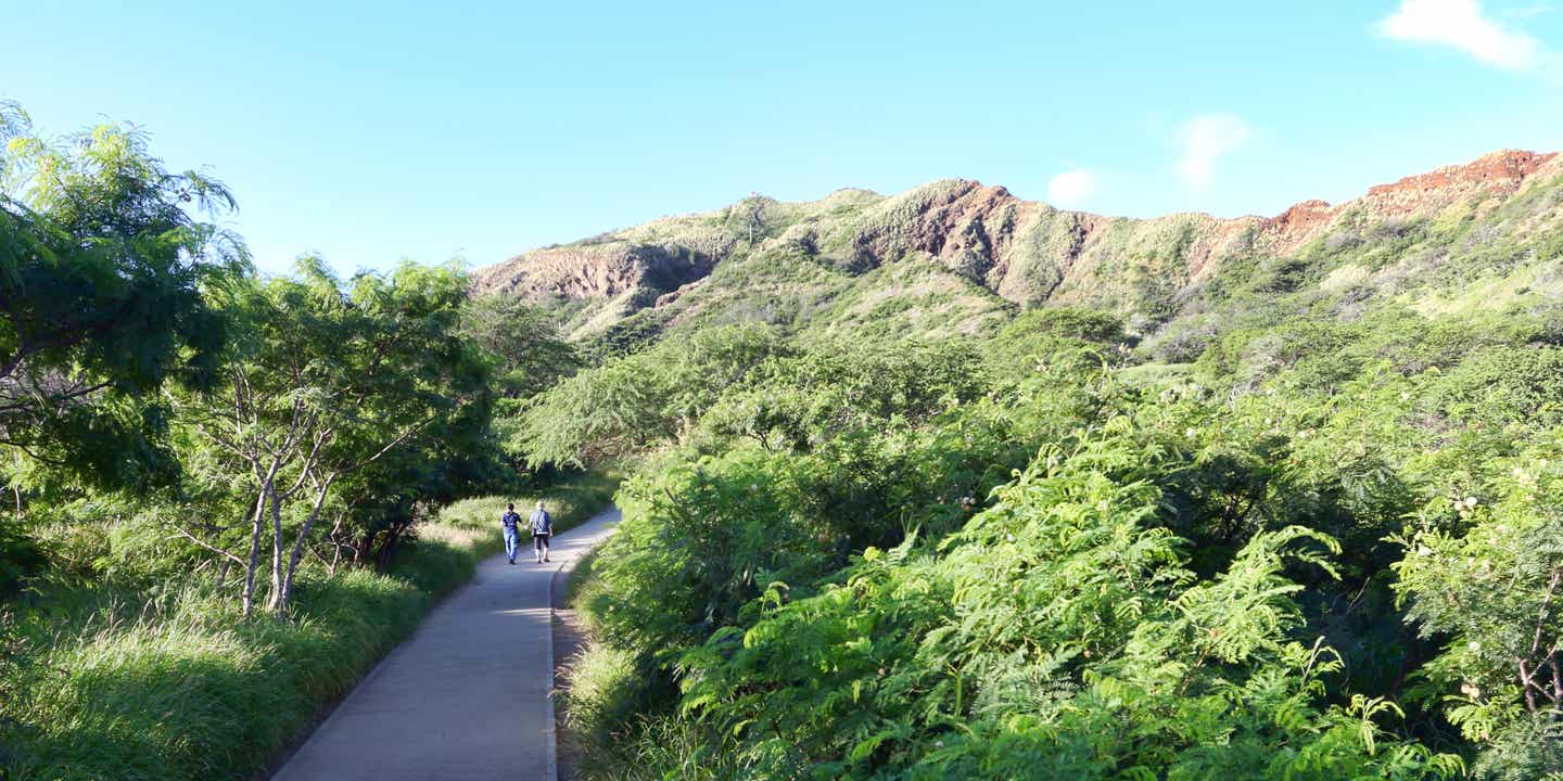Wanderweg führt auf den Berg zu in grüner Natur