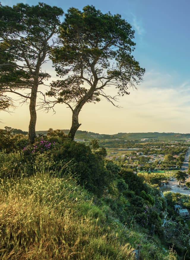 Angebote entdecken Italienische Adria