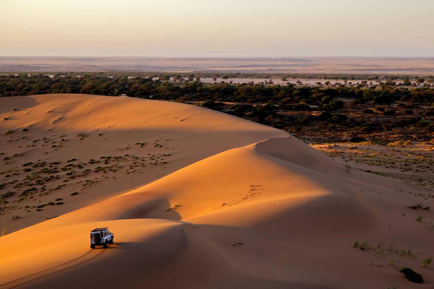 Wüstensafaris für Abenteurer