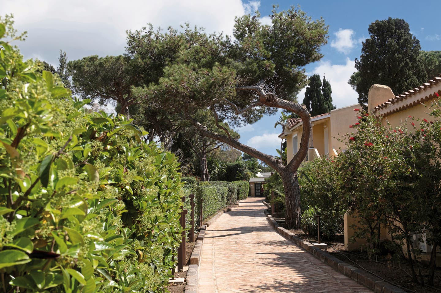 Wohnbeispiel Deluxe Bungalow