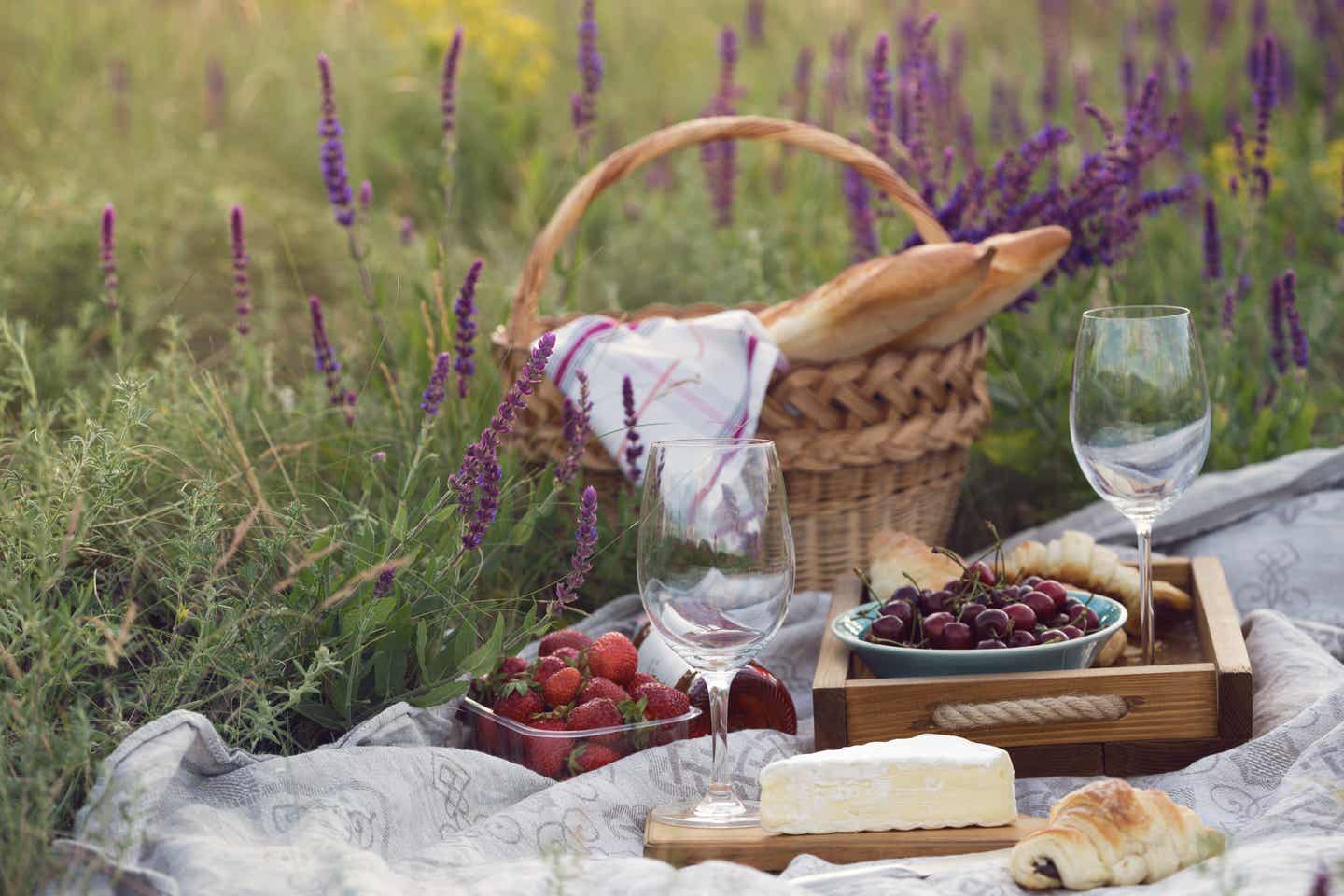 Südfrankreich Urlaub mit DERTOUR. Picknick mit Früchten, Käse und Baguette auf einer Lavendelwiese in der Provence