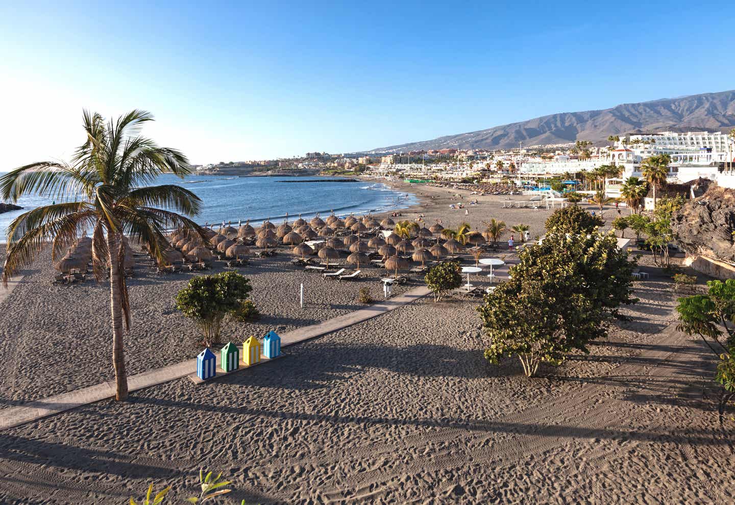 Teneriffas Stränden mit Resorts, Palmen und Co.