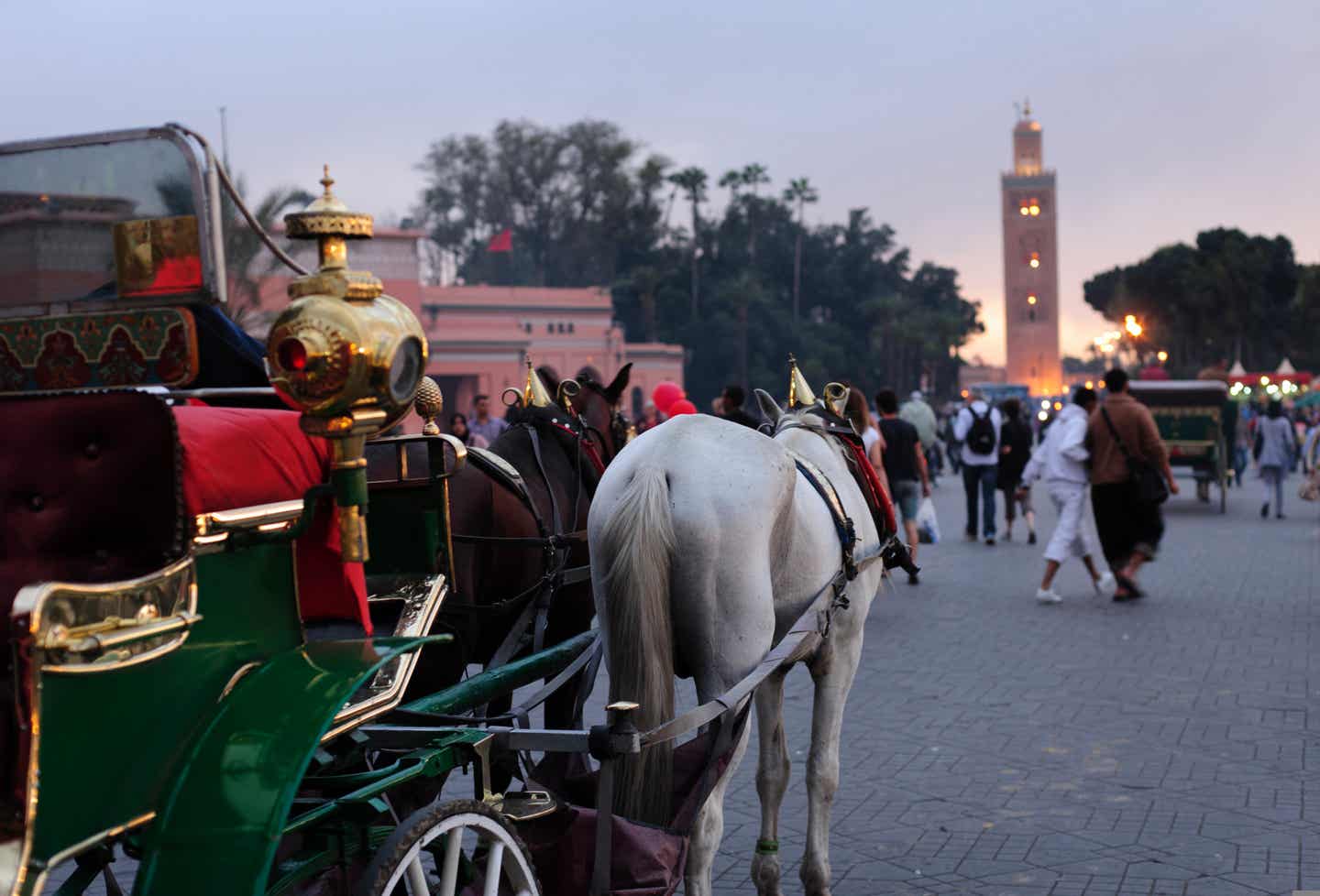 Urlaub in Marrakesch – Kutsche in Marrakesch