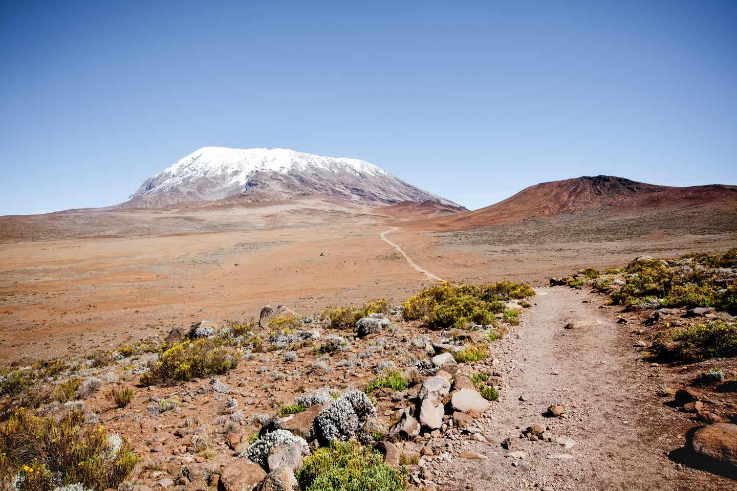 Wanderweg zum Gipfel des Berg Kilimandscharo