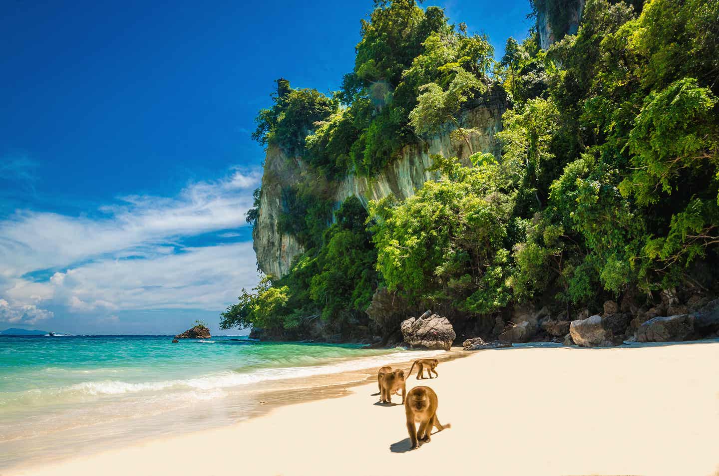 Urlaub in Krabi – Monkey Beach auf Koh Phi Phi