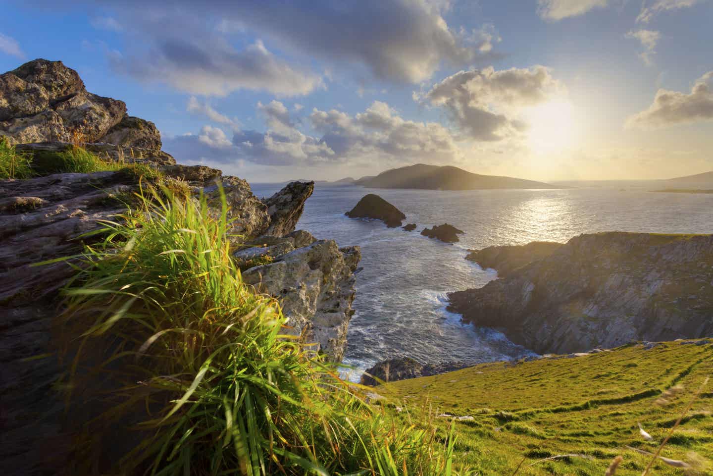 Busrundreise Irland: Irische Küstenlandschaft mit Meer und grüner Natur