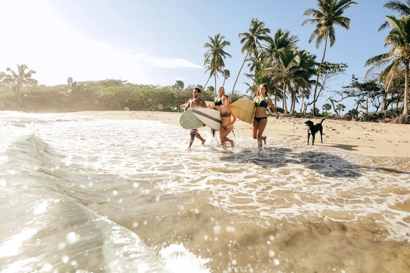 Familie surft am karibischen Strand