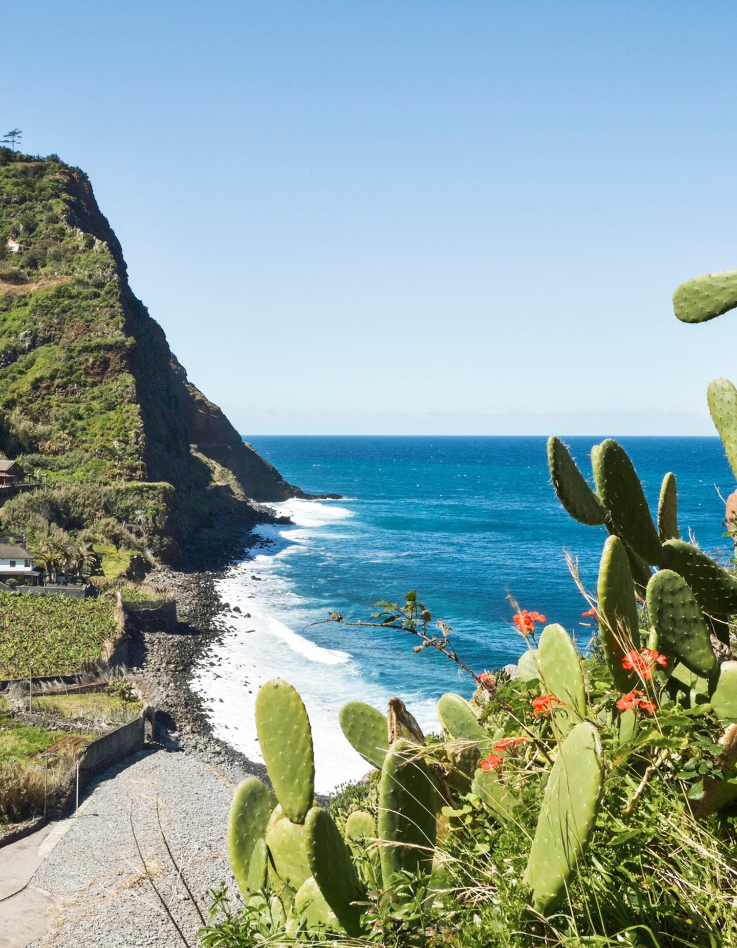 Reisekalender Frühling: Die Natur Madeiras ist schon zum Frühlingsanfang absolut bezaubernd