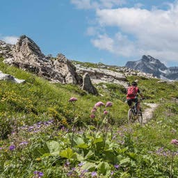 oesterreich-tirol-arlberg-radfahren-g-1141038273.jpg